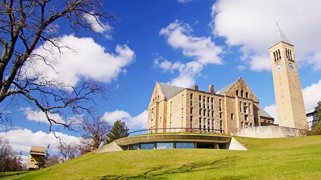 康奈尔大学 康奈尔大学